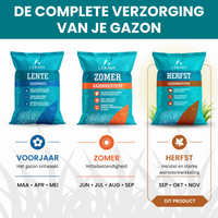  [LANG-NL]