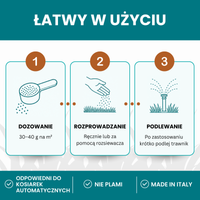  [LANG-PL]