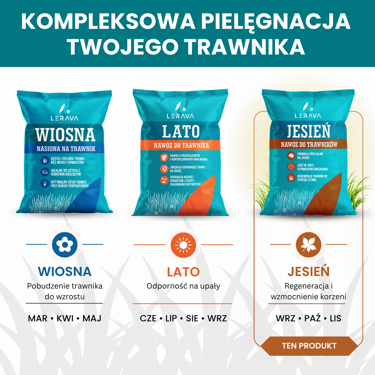  [LANG-PL]