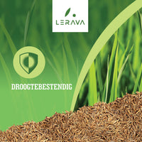 [lang-NL] 