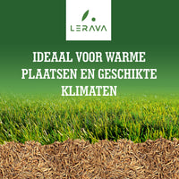 [lang-NL] 