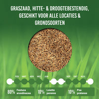 [lang-NL] 