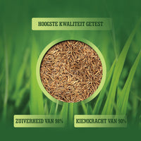 [lang-NL] 