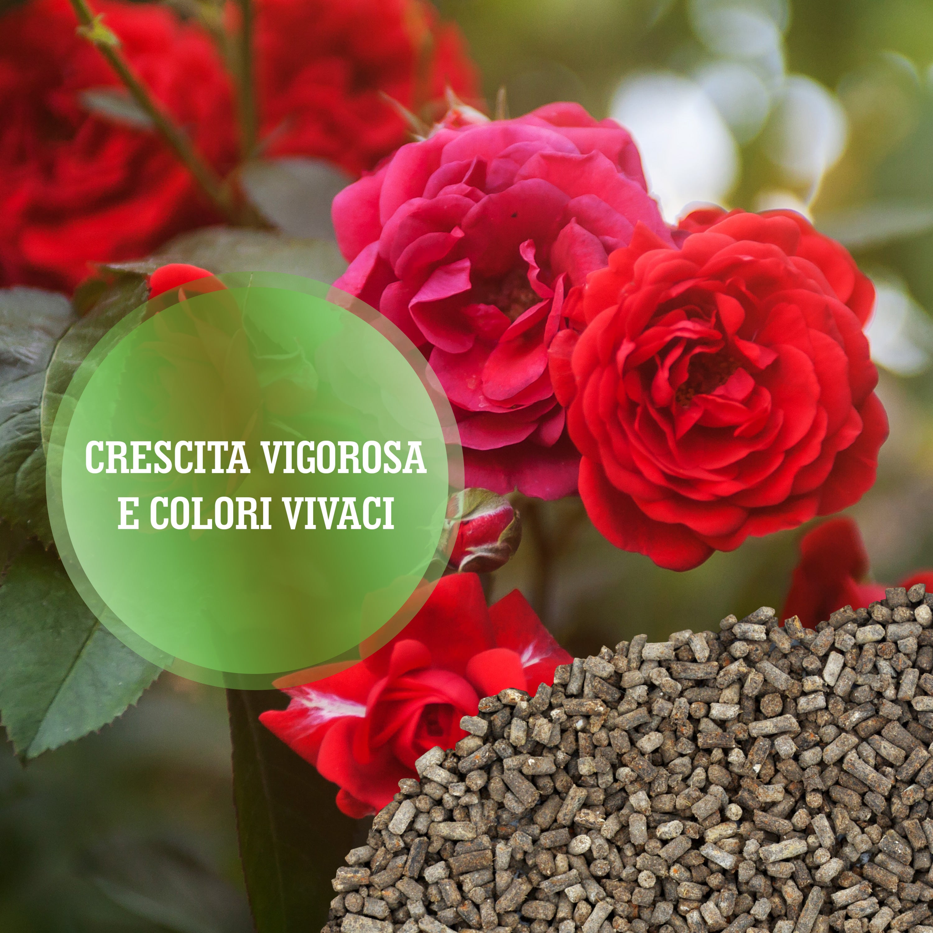 Oscorna Concime Per Rose Organico - 20 Kg, Per Una Fioritura Rigogliosa E Terreno Sano - Foto 1
