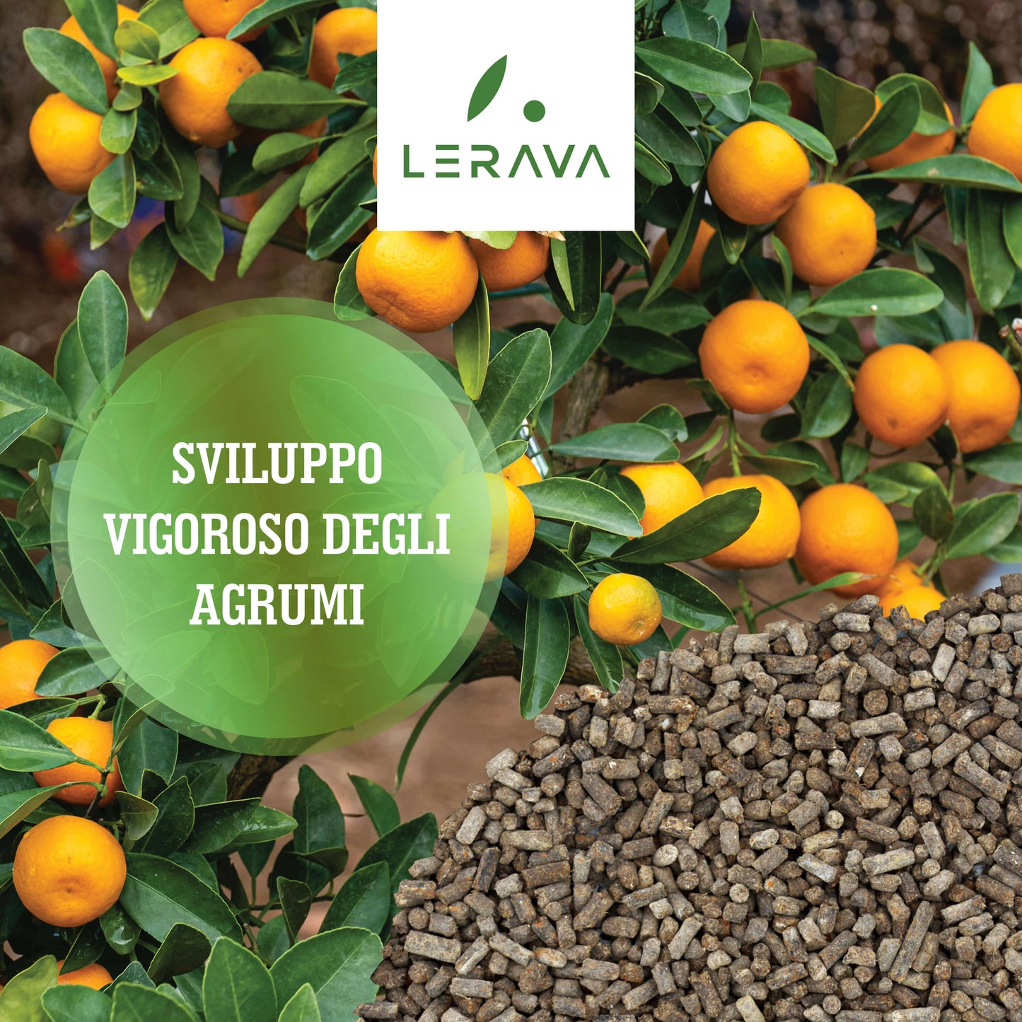 Citrus - pelleted fertilizer for citrus fruits