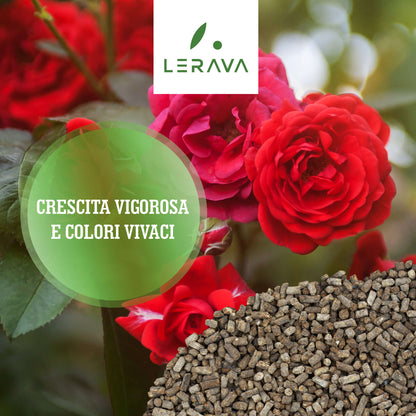 Roses - granulated fertilizer for roses