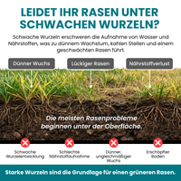 [lang-DE]