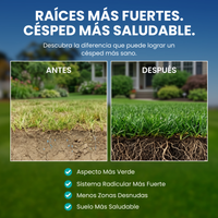 [lang-ES]