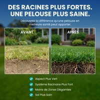 [lang-FR]
