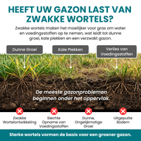 [lang-NL]