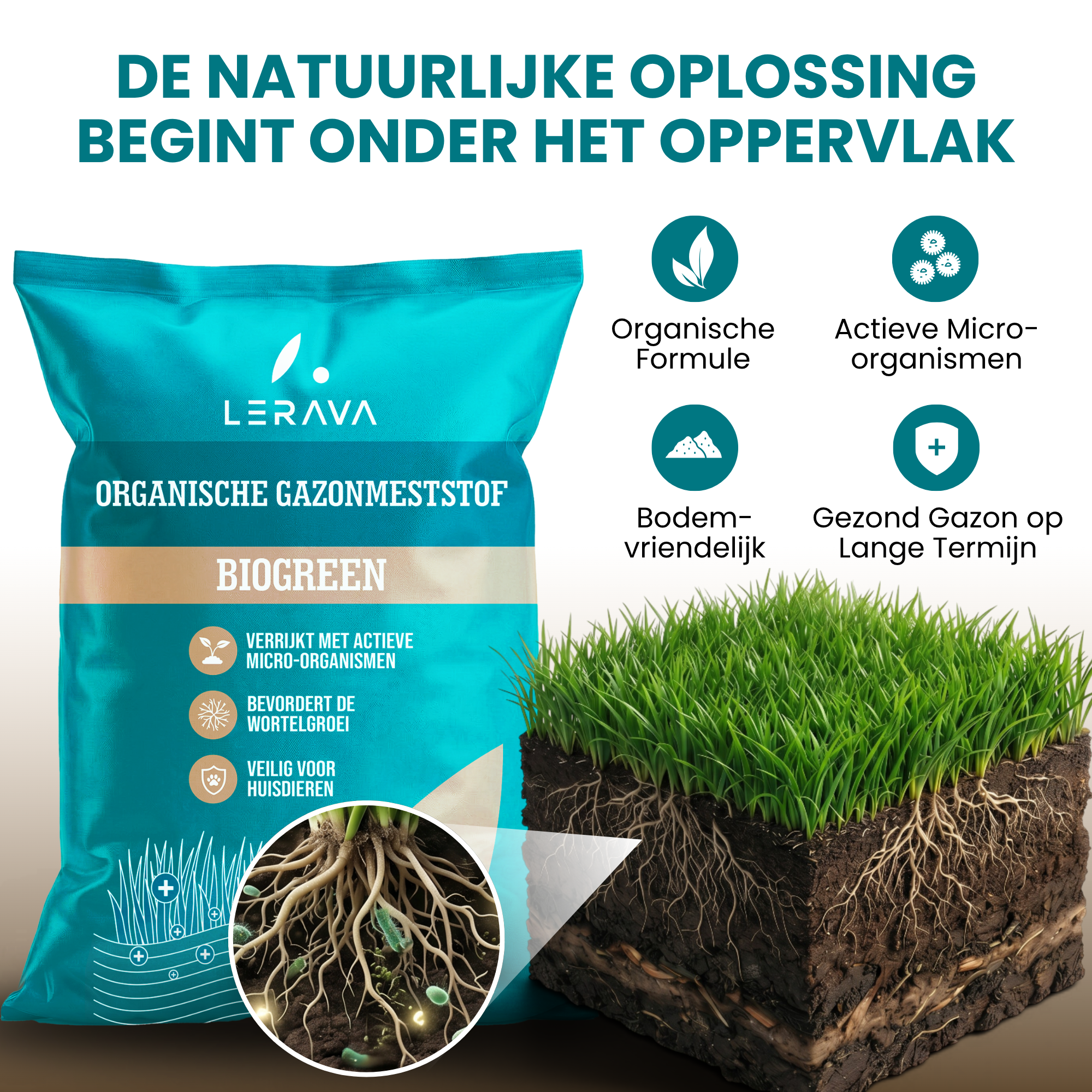 [lang-NL]