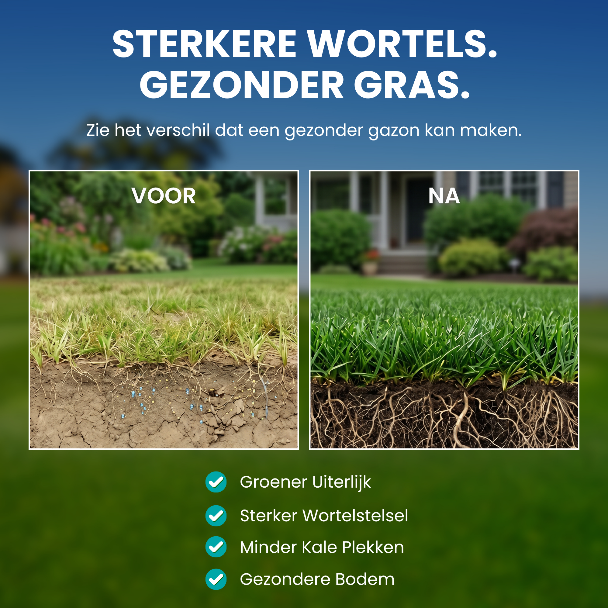 [lang-NL]
