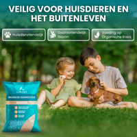 [lang-NL]