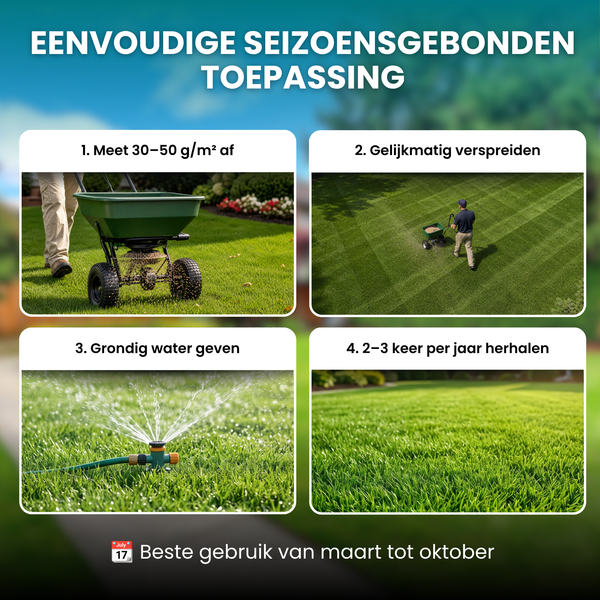 [lang-NL]