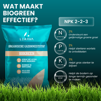 [lang-NL]