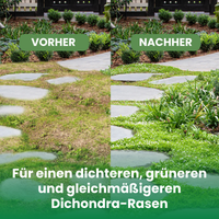 [lang-DE]