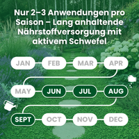[lang-DE]
