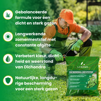 [lang-NL]