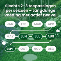 [lang-NL]