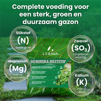 [lang-NL]