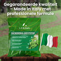 [lang-NL]