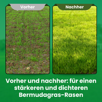[lang-DE]