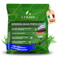 #Taglia_150m² [sku-A0346] [lang-EN]