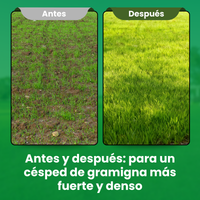 [lang-ES]