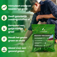 [lang-NL]