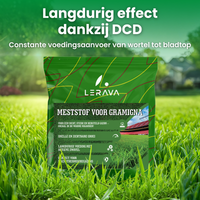 [lang-NL]