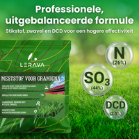 [lang-NL]