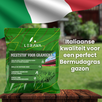 [lang-NL]