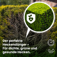[lang-DE]