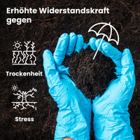 [lang-DE]