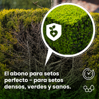 [lang-ES]