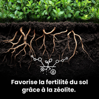 [lang-FR]
