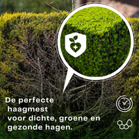 [lang-NL]