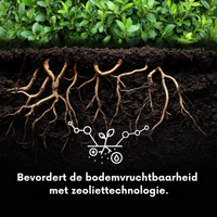 [lang-NL]