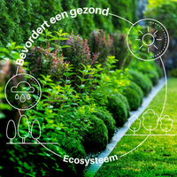 [lang-NL]