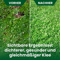 [lang-DE]