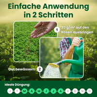 [lang-DE]