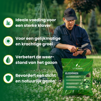 [lang-NL]