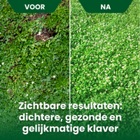 [lang-NL]