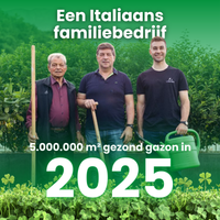 [lang-NL]