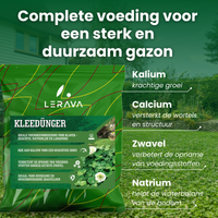 [lang-NL]