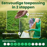 [lang-NL]