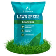CHAMPION - Drought-Resistant Lawn Seeds
