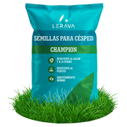 CHAMPION - Semillas para Césped Resistente a la Sequía