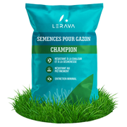 CHAMPION - Semences pour Gazon Résistant à la Sécheresse