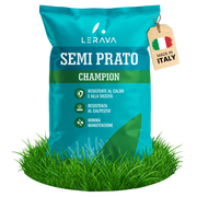 CHAMPION - Semi Prato Resistente alla Siccità